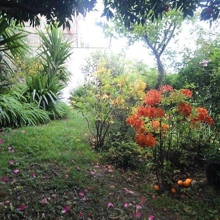 Il Giardino Delle Ortensie Apartamento Salto Chiesa Exterior foto