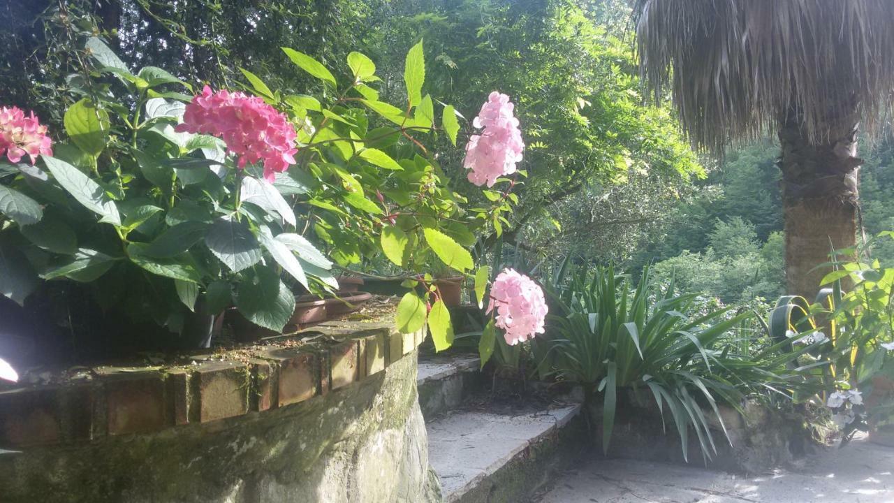 Il Giardino Delle Ortensie Apartamento Salto Chiesa Exterior foto