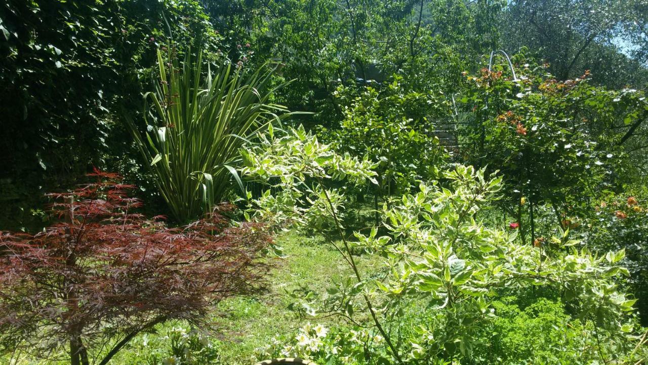 Il Giardino Delle Ortensie Apartamento Salto Chiesa Exterior foto