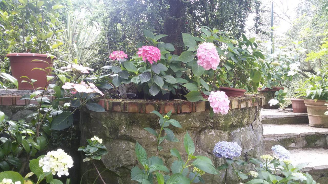 Il Giardino Delle Ortensie Apartamento Salto Chiesa Exterior foto